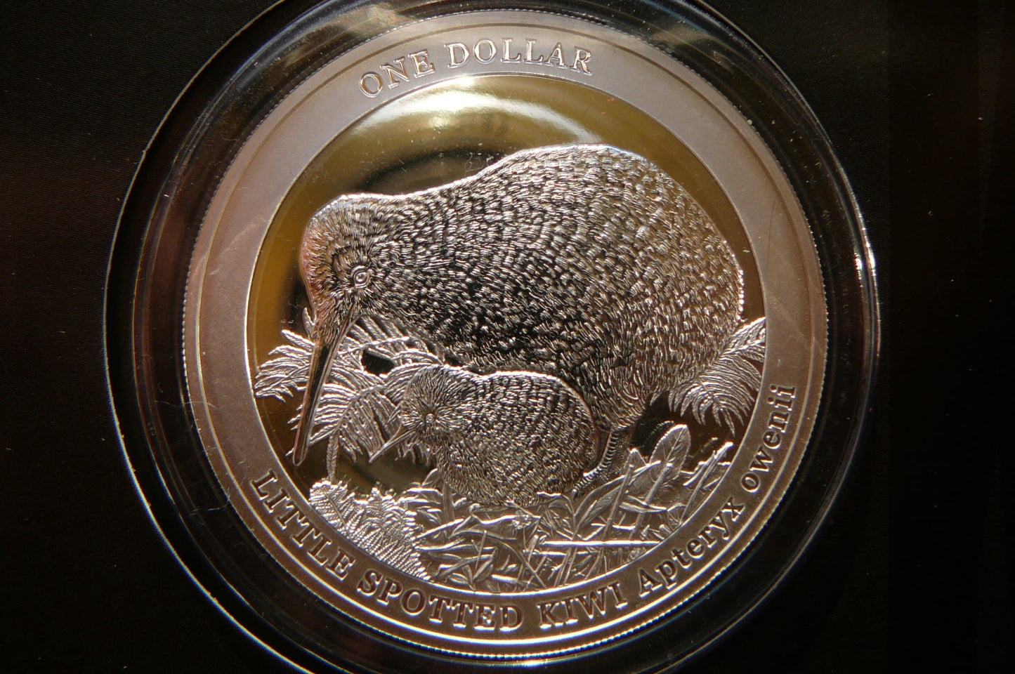 1$ NOWA ZELANDIA 2022 KIWI SREBRO 999 UNCJA PROOF