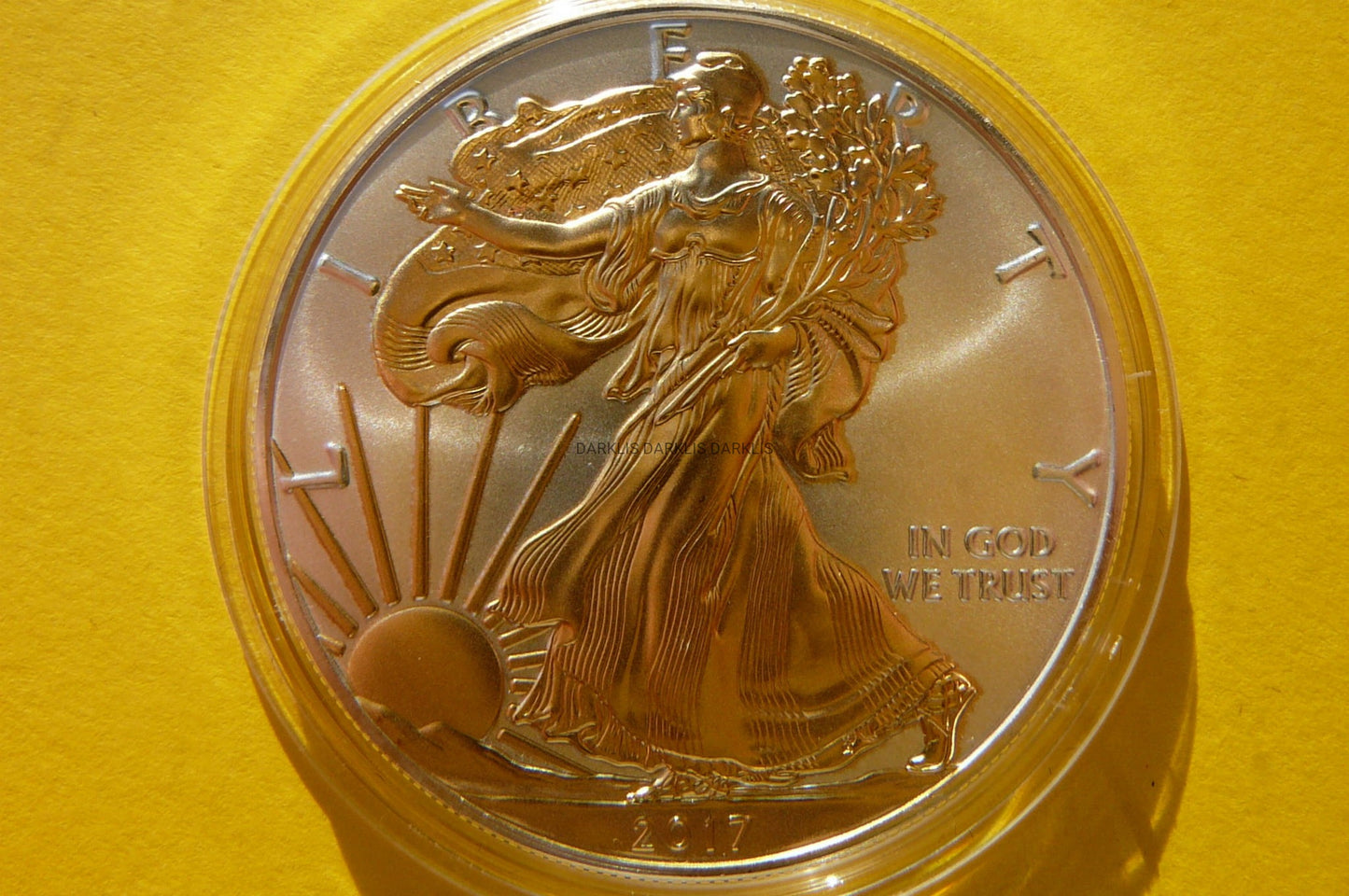 1$ USA 2017 EAGLE BOGINI WOLNOŚCI Ag/Au 999 UNCJA