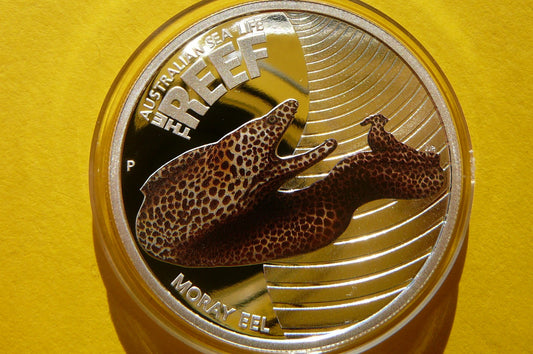 1/2$ AUSTRALIA 2010 - RYBA MURENA LIFE THE REEF