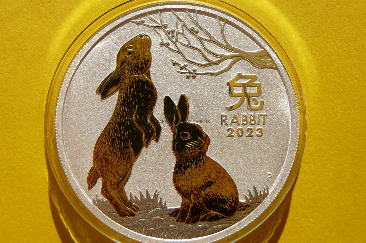1$ AUSTRALIA 2023 ROK KRÓLIKA LUNAR Ag/Au 999 Oz