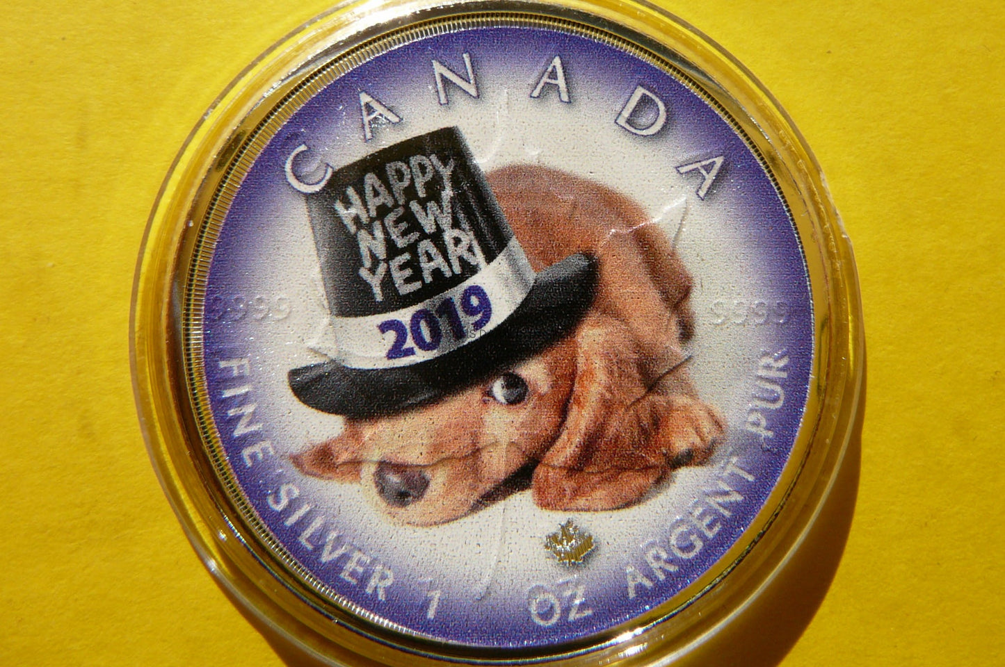 5$ KANADA 2019 SZCZĘŚLIWEGO NOWEGO ROKU Ag KOLOR 2