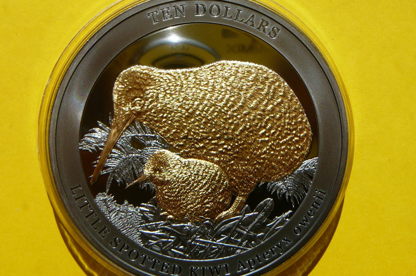 10$ NOWA ZELANDIA 2022 PTAK KIWI Ag/Au 5Oz RZADKA