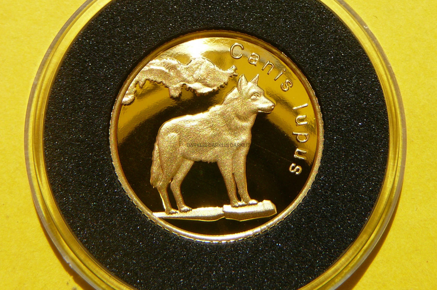 5$ NIUE 2022 WILK SZARY 7 CUDÓW POLSKI ZŁOTO 999