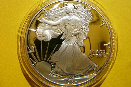 1$ USA 1989 S EAGLE BOGINI WOLNOŚCI LIBERTY Ag Oz PROOF