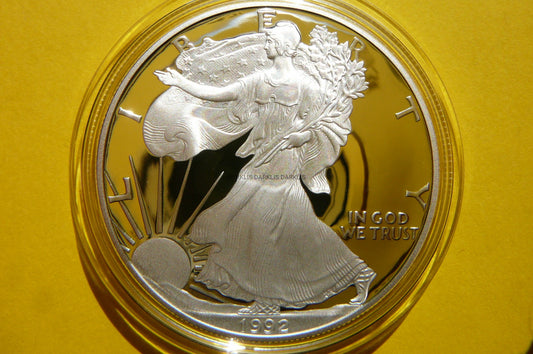1$ USA 1992 S EAGLE BOGINI WOLNOŚCI LIBERTY Ag Oz PROOF