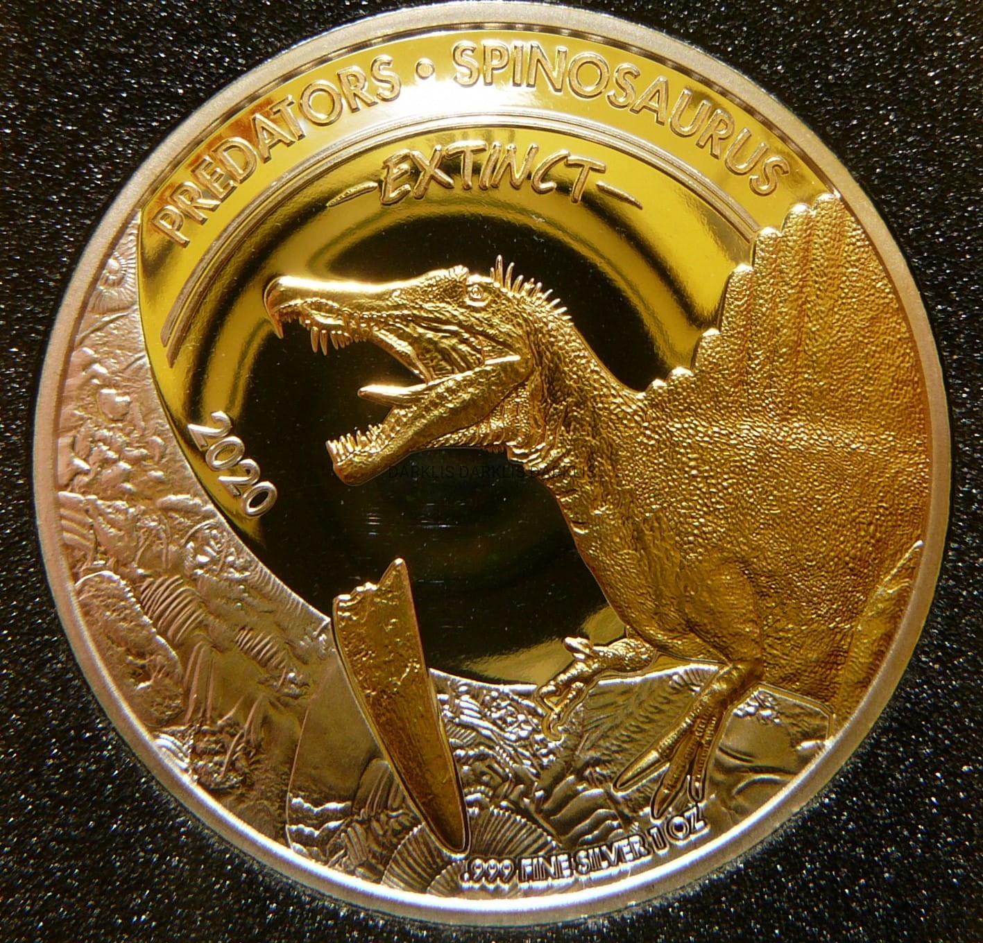 20 FRANK KONGO 2020 DINOZAURY SPINOZAUR Ag/Au +CER