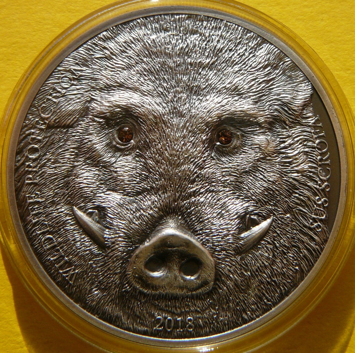 500 TUGRIK MONGOLIA 2018 DZIK RZADKA Ag 999 Oz +CER
