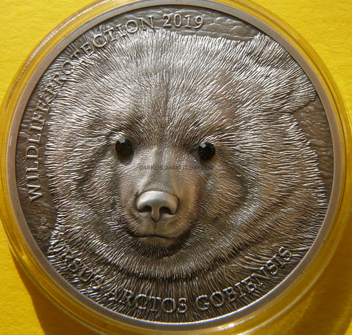 500 TUGRIK MONGOLIA 2019 NIEDŹWIEDŹ GOBI RZADKA +CER