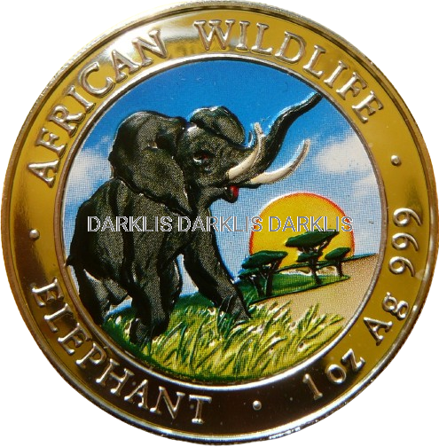 100 SHILL SOMALIA 2009 SŁOŃ AFRYKA Ag 999 Oz KOLOR