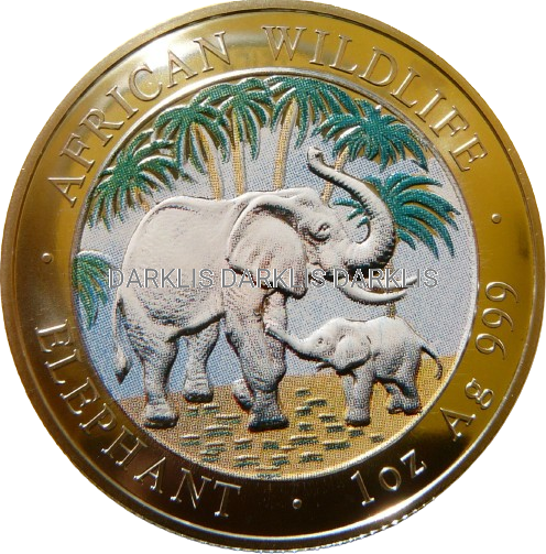 100 SHILL SOMALIA 2007 SŁOŃ MATT Ag 999 Oz KOLOR