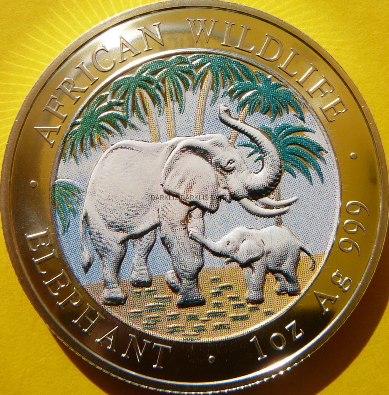 100 SHILL SOMALIA 2007 SŁOŃ MATT Ag 999 Oz KOLOR