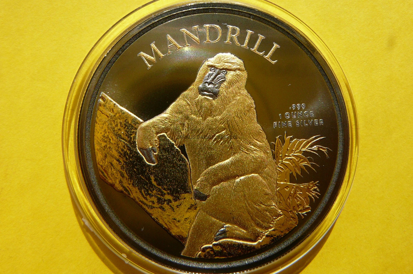 500 FR KAMERUN 2021 MAŁPA MANDRILL Ag/Au 99 RUTHEN