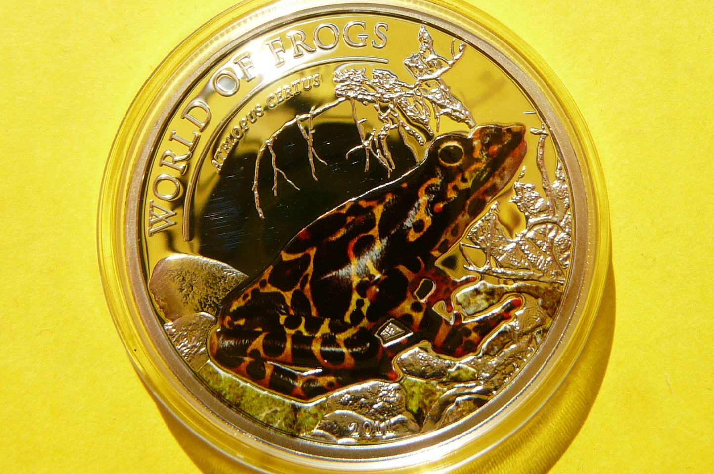 2$ PALAU 2011- ŻABA ATELOPUS CERTUS -Ag 925-500szt