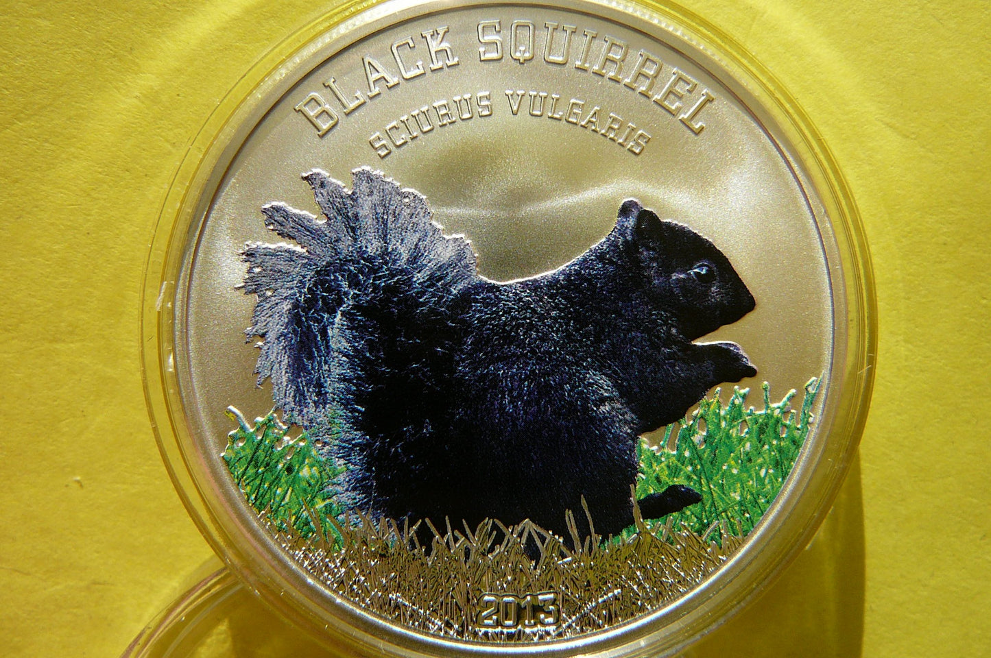 5$ COOK ISLANDS 2013-WIEWIÓRKA CZARNA-Ag 925 CUDO