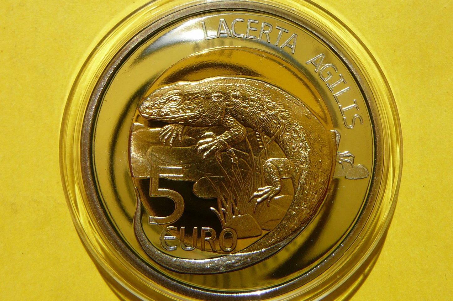 5 EURO LUKSEMBURG 2021 JASZCZURKA ZWINKA RZADKA Ag