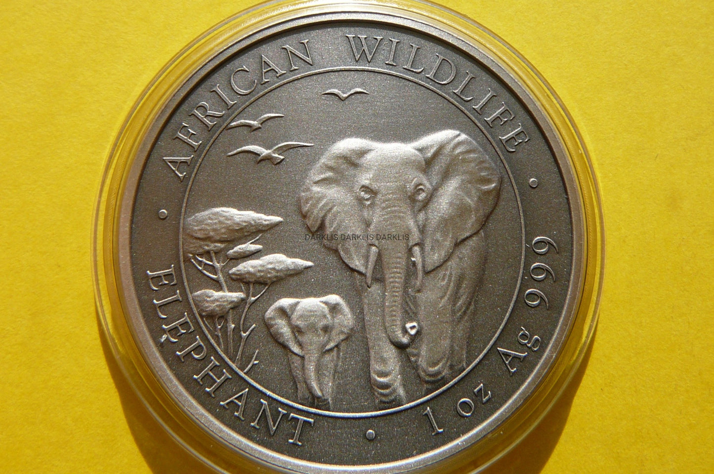 100 SHILL SOMALIA 2015 SŁOŃ ANTIK SREBRO 999 UNCJA