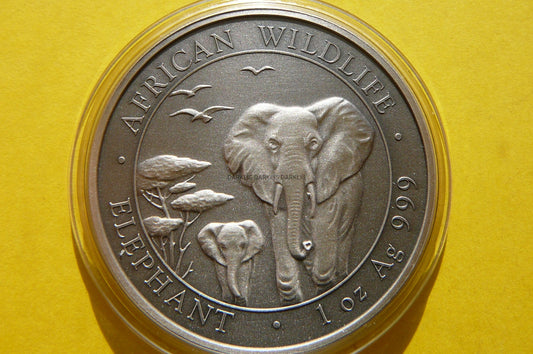 100 SHILL SOMALIA 2015 SŁOŃ ANTIK SREBRO 999 UNCJA