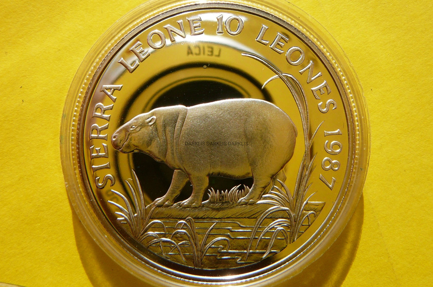 *10 LEO SIERRA LEONE 1987 - HIPOPOTAM KARŁOWATY Ag