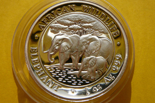 100 SHILL SOMALIA 2013 SŁOŃ Az 999 Oz HIGH RELIEF